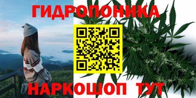 винт Ярославль